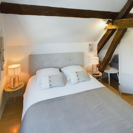 Studio Deschainets Troyes Gare Et Centre Historique Ngoại thất bức ảnh